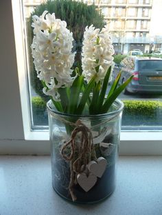 some white flowers in a glass jar on a window sill