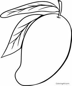 Zoo Coloring Pages, Color Worksheets For Preschool, Fruit Coloring Pages, Fruits Drawing, Color Worksheets, Art Drawings For Kids, Animal Coloring Pages, Coloring Book Pages