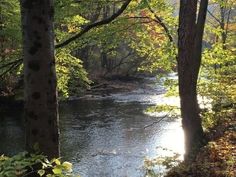 a river surrounded by trees and leaves in the fall time with sun shining on it