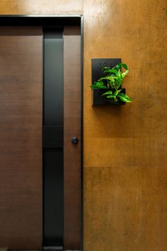 a door with a plant on the side