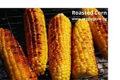 corn on the cob is being grilled and ready to be cooked for consumption