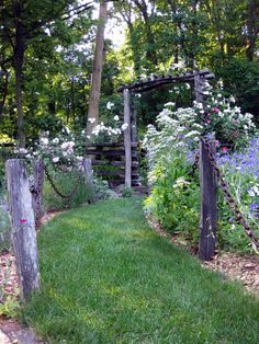 the garden is full of flowers and plants, including roses in the foreground with an old wooden gate