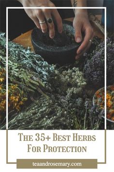 the 35 best herbs for protection