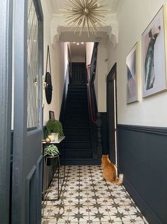 an orange and white cat sitting in the hallway