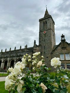 white flowers in front of an old building with a clock tower on the top floor