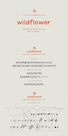 the wildflower font and numbers are displayed on a white sheet with red lettering in it