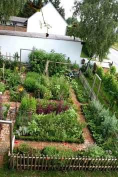 an aerial view of a garden with various plants and flowers in the foreground, surrounded by a white house