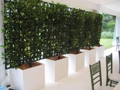 there are four planters in front of the wall with plants growing on them and two green chairs next to each other