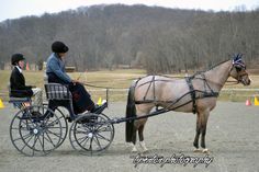 two people riding in a horse drawn carriage on a dirt field with trees in the background