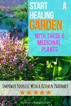 a garden with purple flowers and green plants in the foreground text reads how to start a gardening garden with these 6 medical plants