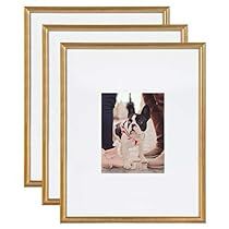 three frames with a dog sitting on the floor in front of them, each holding a photo