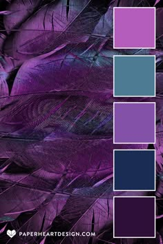 purple and blue color scheme with feathers