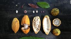 an assortment of nuts and leaves on a table