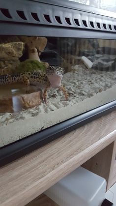 a fish tank with sand and rocks in it