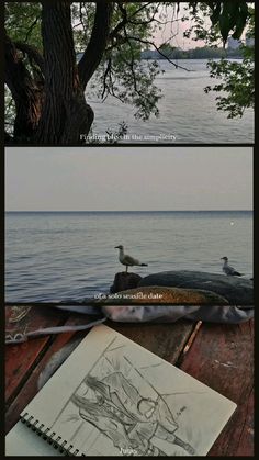 two different views of the water and trees