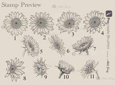 a drawing of sunflowers with numbers on the front and bottom half of them