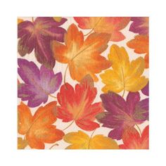 an image of colorful leaves on a white background