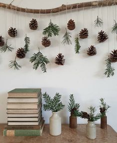 pine cones are hanging on the wall next to books