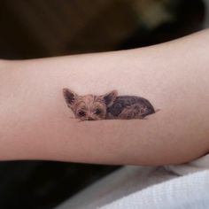 a small dog is sitting on top of a woman's arm with a tiny tattoo