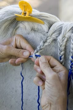 a person is tying a piece of string to a horse's mane