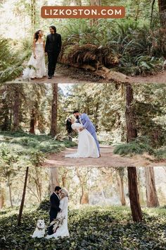 the bride and groom are posing in the woods for their wedding pictures with their dog