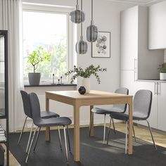 a dining room table with four chairs and a potted plant on the table next to it