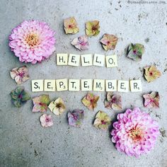 flowers and scrabbles spell out the word hello, september on cement with words spelled in blocks