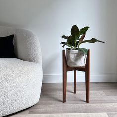 a plant in a white pot on a wooden stand next to a chair and rug