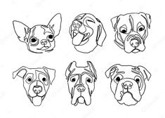 four different types of dogs'faces drawn in black and white on a white background