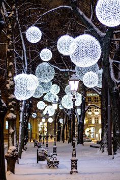 the lights are hanging from the trees in the snowy city park at night, with snow on the ground