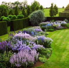 a lush green field with lots of purple flowers and bushes in the middle of it