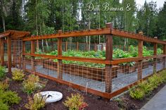 an outdoor vegetable garden with lots of plants growing in the ground and fencing around it