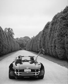 two people in an old fashioned sports car on a road lined with tall bushes and trees