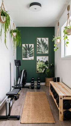 a home gym with green walls and hanging plants