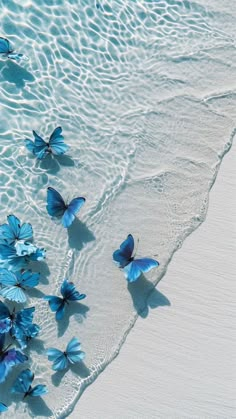 some blue butterflies are flying over the water