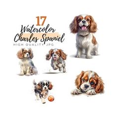 four dogs are shown in different poses with the words watercolor charles spaniel