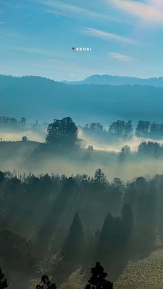 an aerial view of the mountains and valleys covered in fog with trees on either side