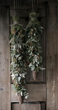 two pine cones hanging from the side of a wooden door with greenery and berries