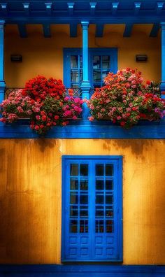 two windows with blue shutters and red flowers