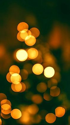 a blurry christmas tree with lights in the background