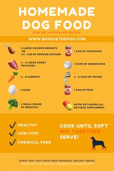 an info sheet describing the benefits of homemade dog food for dogs and their health needs