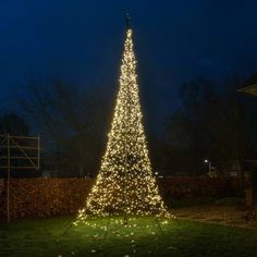 a lighted christmas tree in the middle of a yard