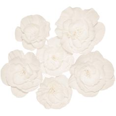 white flowers are arranged on a white background