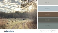 the color palette is gray, brown and white with an image of a dog walking down a dirt road