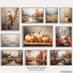 a bunch of paintings with pumpkins and birds on them, all in different styles