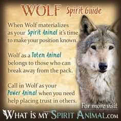 a wolf spirit guide with an image of the wolf