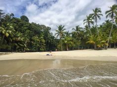 the beach is surrounded by palm trees and waves in the water, with people walking on it