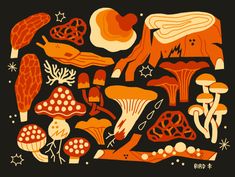 an illustration of mushrooms and other things on a black background