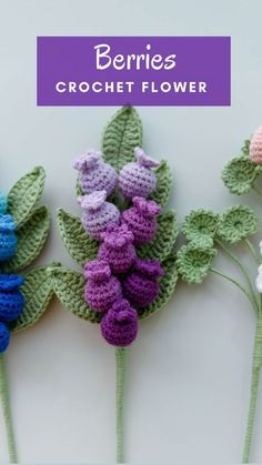 three crocheted flowers with the words berries on them in purple, blue and green