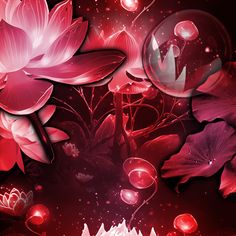 red flowers and bubbles floating in the air on a black background with white circles around them